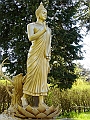 DSC04682