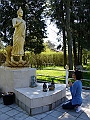 DSC04684