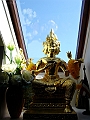 DSC04734