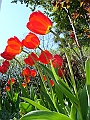 DSC04752