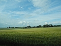 DSCN3886