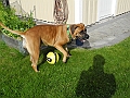 DSCN3897