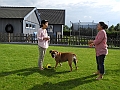 DSCN3900