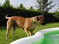 DSCN3905