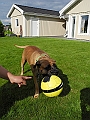 DSCN3909