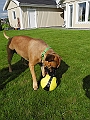 DSCN3910