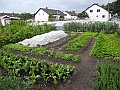 DSCN3925