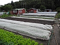 DSCN3937