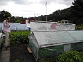 DSCN3941