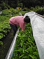 DSCN3942