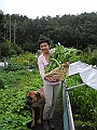 DSCN3949