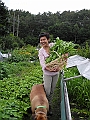 DSCN3950