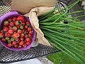 DSCN3951