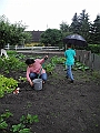 DSCN3955