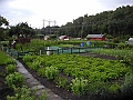 DSCN3958
