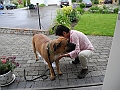 DSCN3968