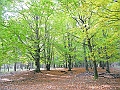 DSCN0098