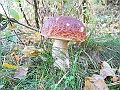 DSCN0101