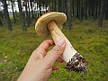 DSCN0123