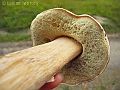 DSCN0127