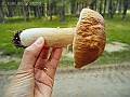 DSCN0128