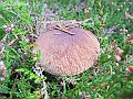 DSCN0170