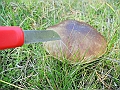 DSCN0197