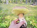 DSCN0199