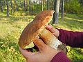DSCN0201