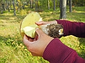 DSCN0202