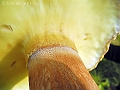 DSCN0204