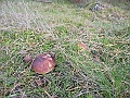 DSCN0205