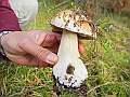 DSCN0208
