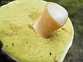 DSCN0218