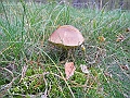 DSCN0228