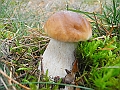 DSCN0500