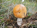 DSCN0502