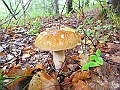 DSCN9014