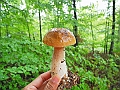 DSCN9020