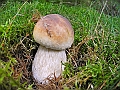 DSCN9733