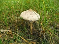 DSCN0141