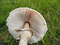 DSCN0142