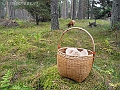 DSCN0147