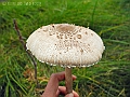 DSCN0155