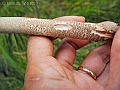 DSCN0156