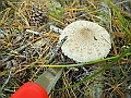 DSCN0161
