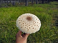 DSCN0164