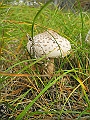 DSCN0168
