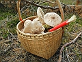 DSCN0180
