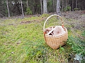 DSCN0187